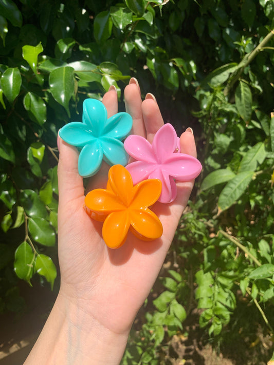 Hair Clips | 3pc Flower Shaped Medium Plastic Hair Clips