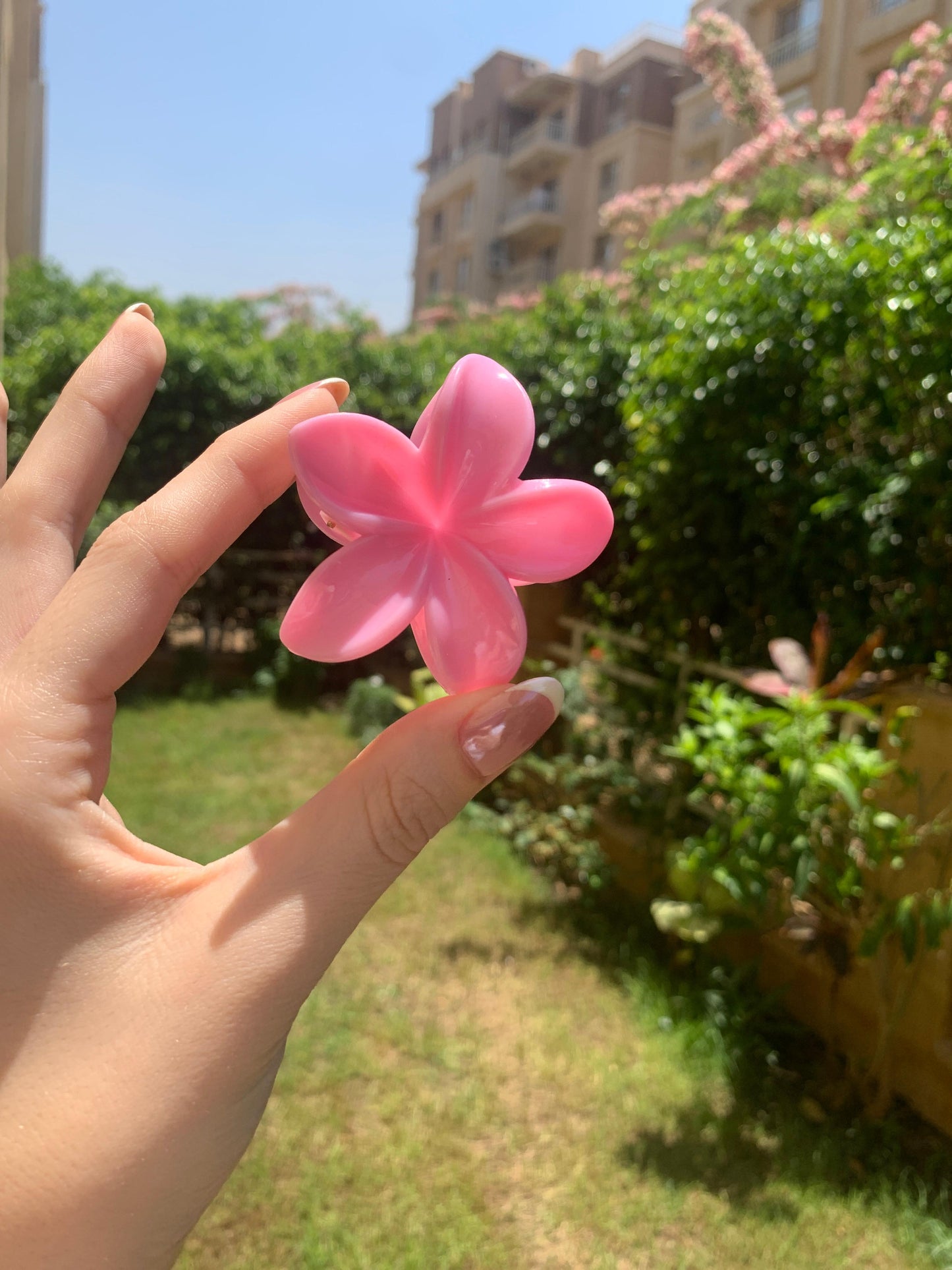 Hair Clips | 3pc Flower Shaped Medium Plastic Hair Clips