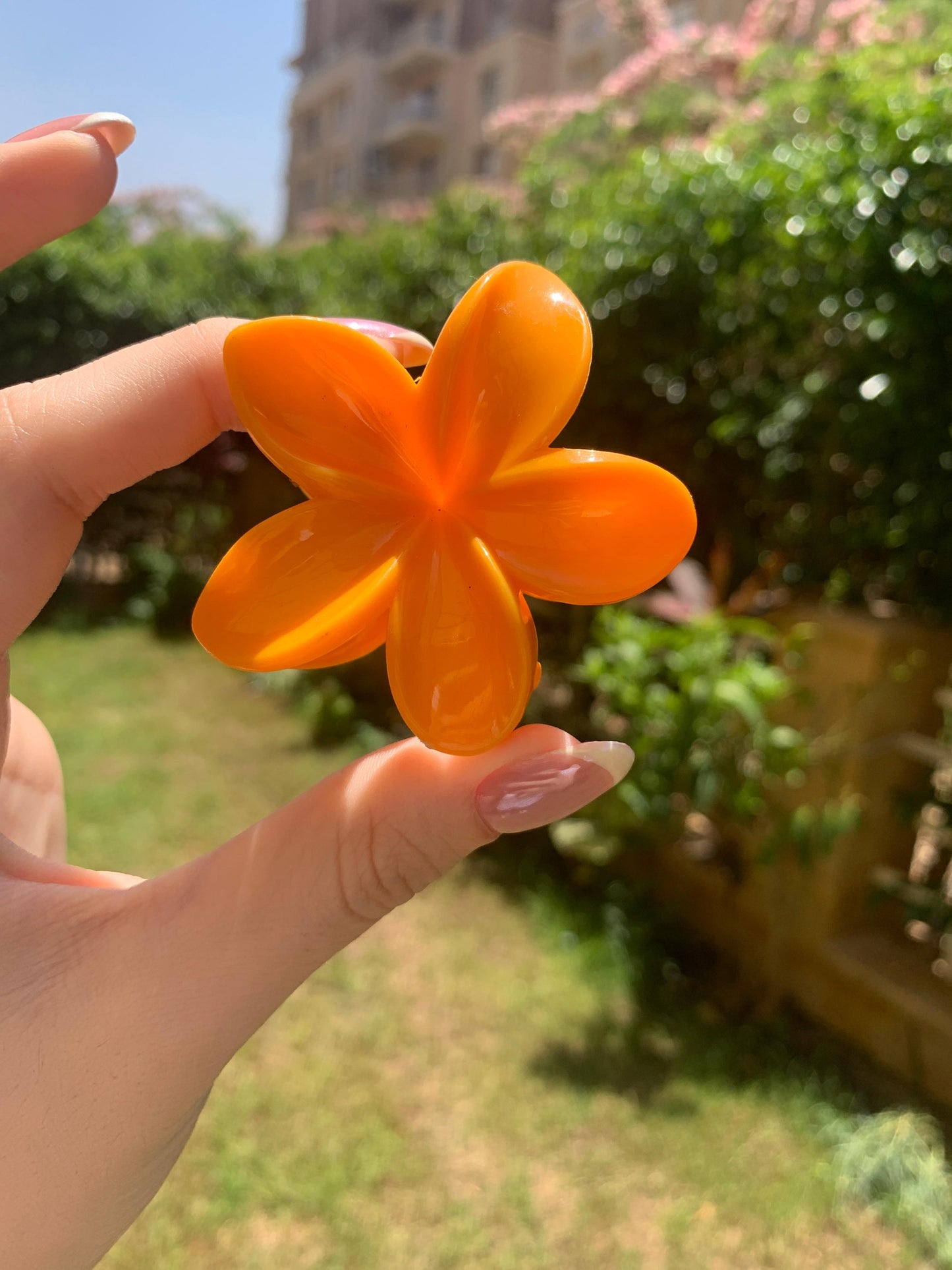 Hair Clips | 3pc Flower Shaped Medium Plastic Hair Clips